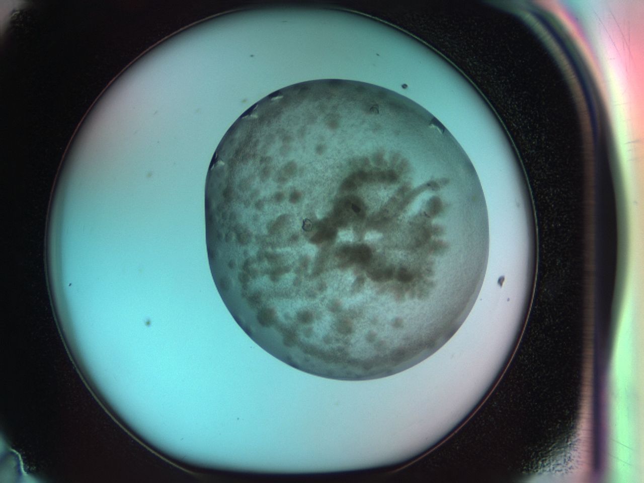 03zm_D11_ImagerDefaults_8.jpg