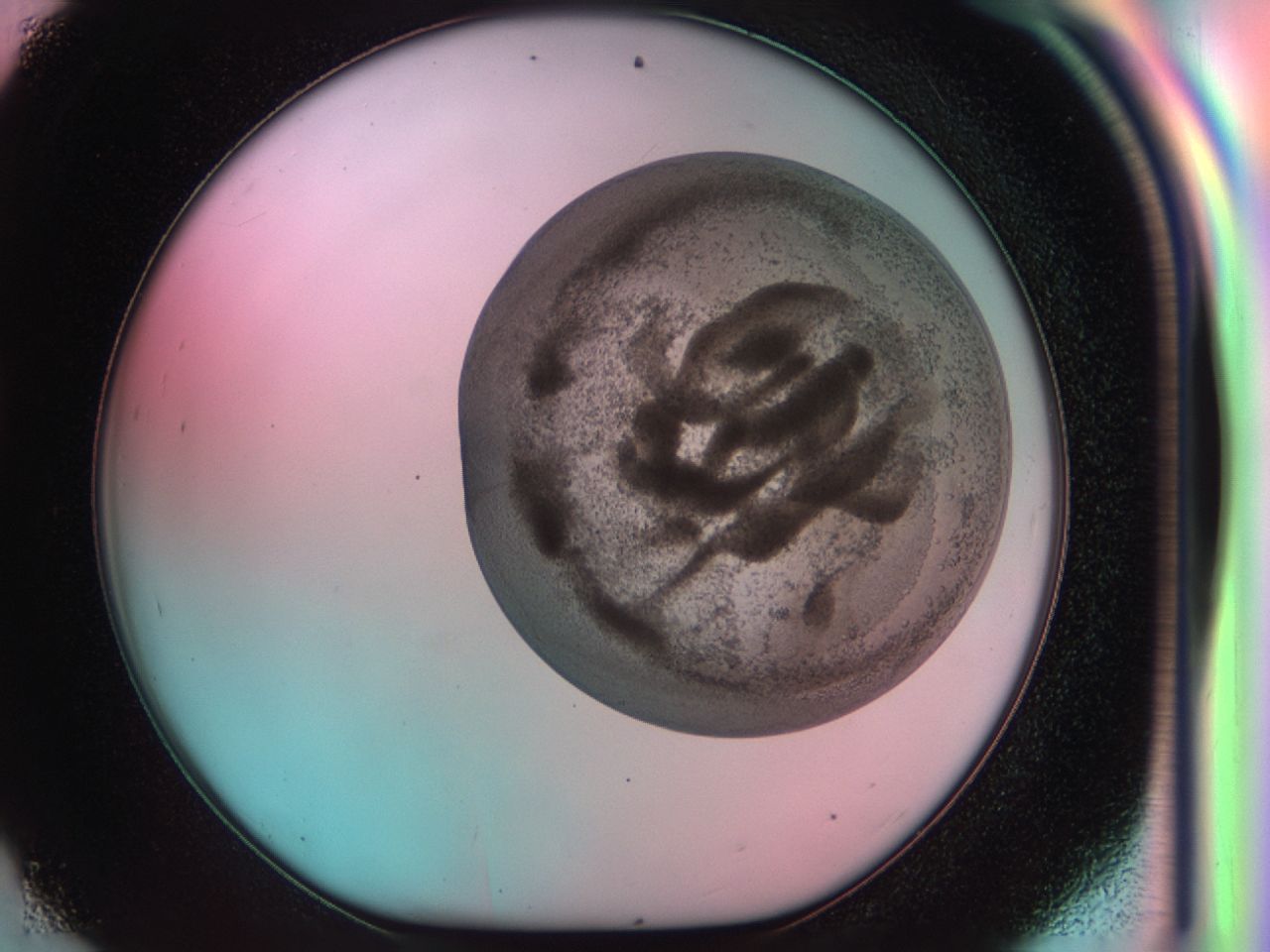 03zm_D9_ImagerDefaults_6.jpg