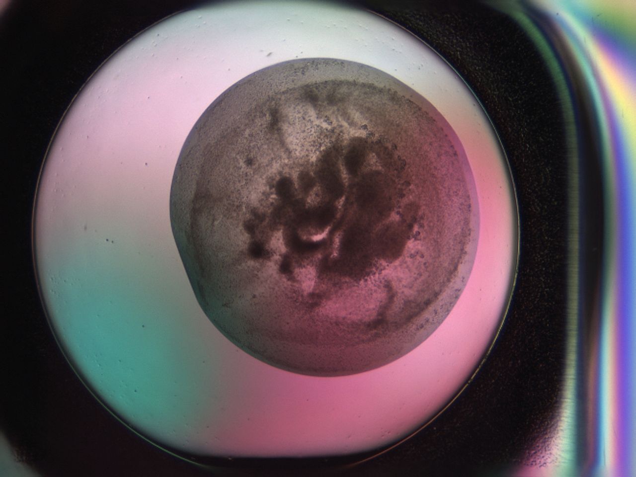 03zm_G1_ImagerDefaults_6.jpg