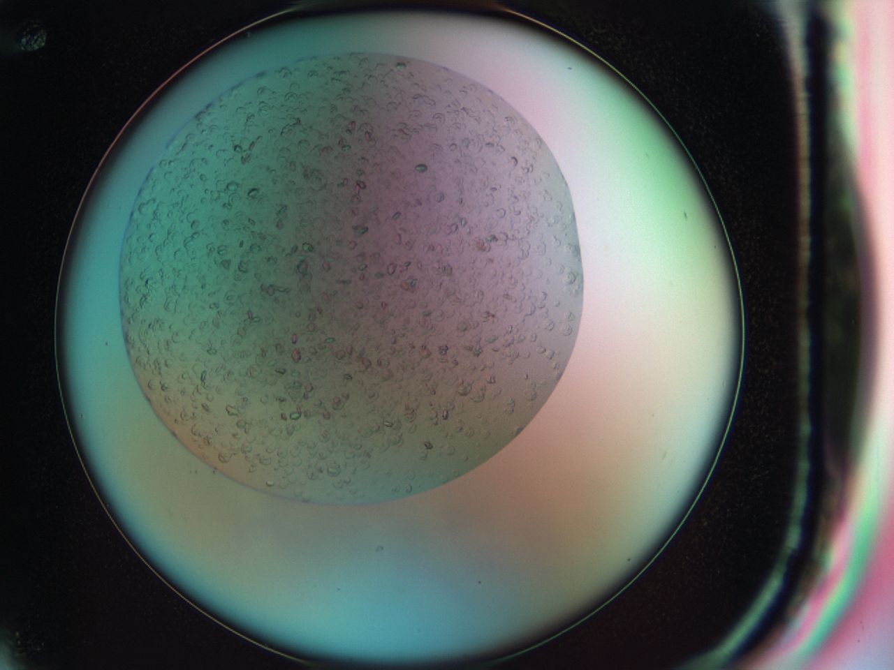 03zn_F12_ImagerDefaults_7.jpg