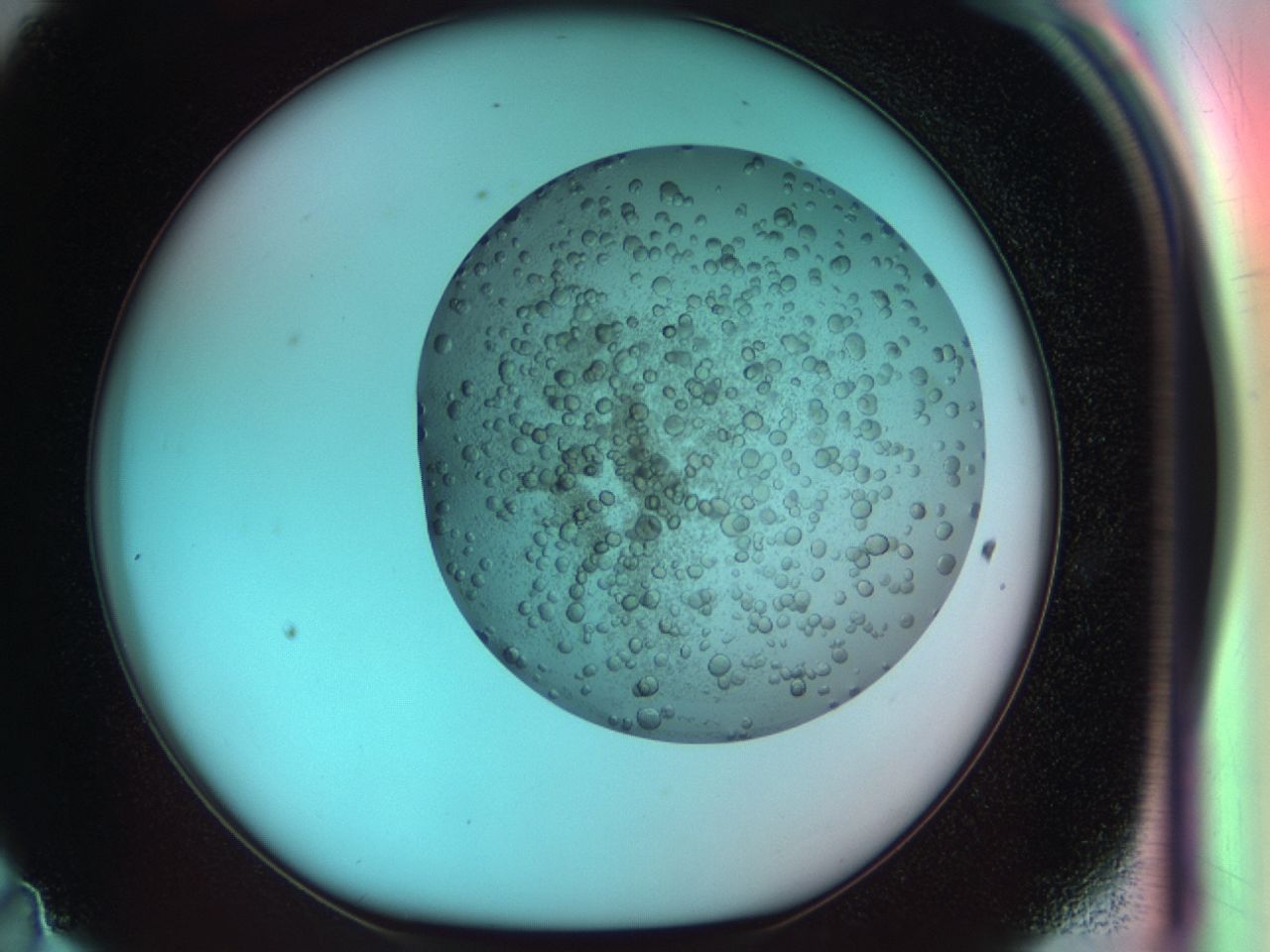 03zn_D11_ImagerDefaults_8.jpg