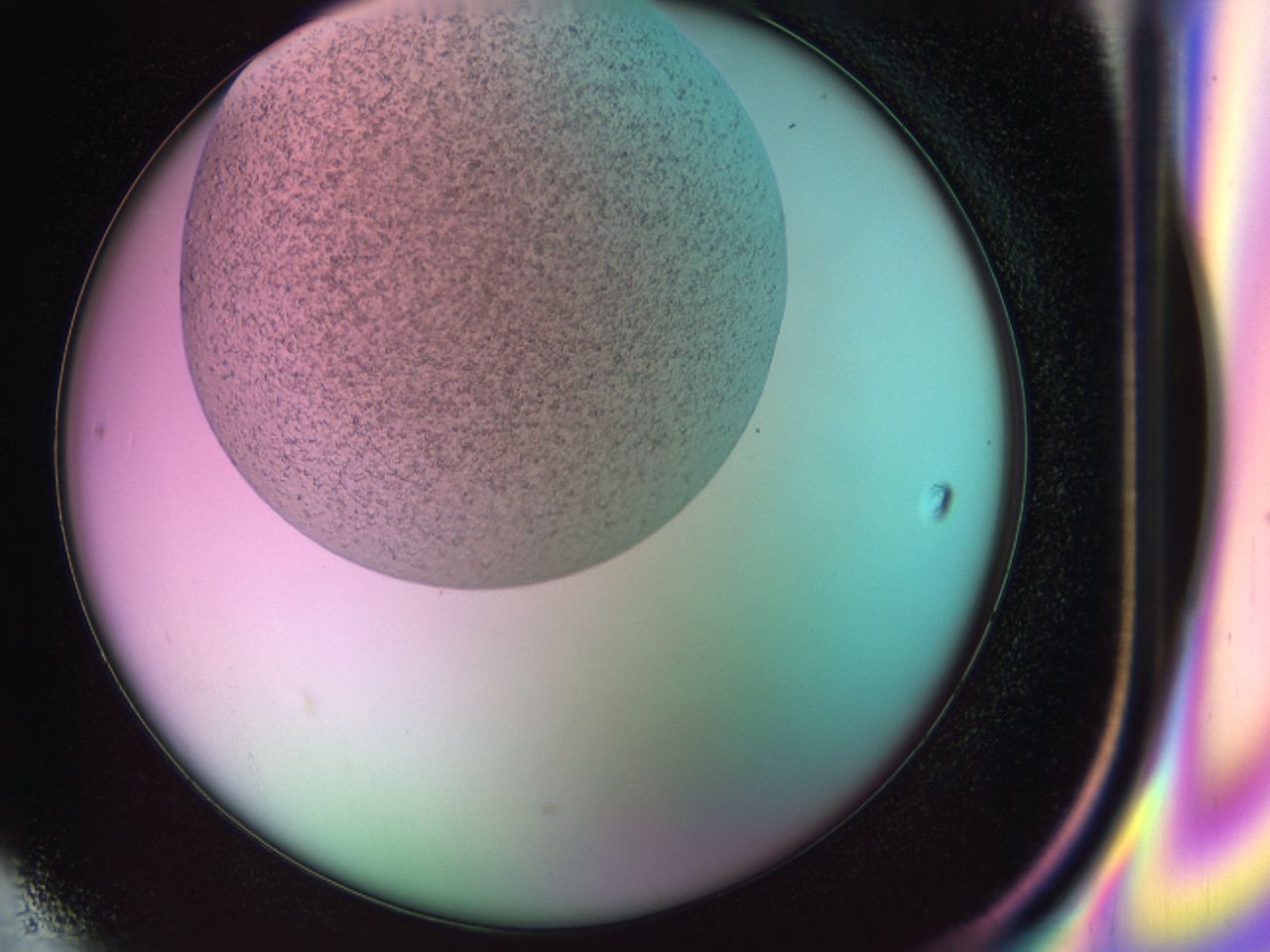 03zn_H6_ImagerDefaults_6.jpg