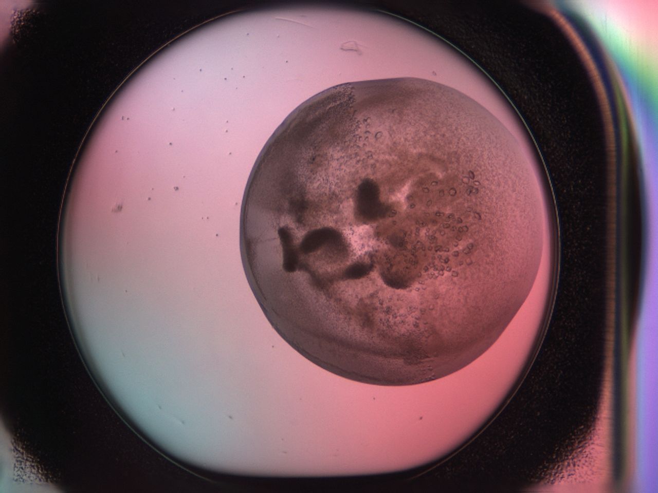 03zn_C7_ImagerDefaults_6.jpg