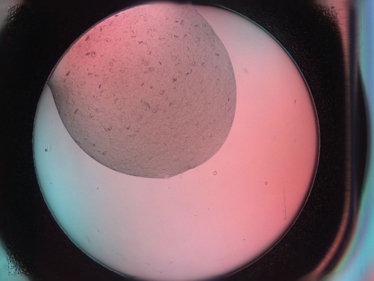 03zn_B7_ImagerDefaults_6.jpg