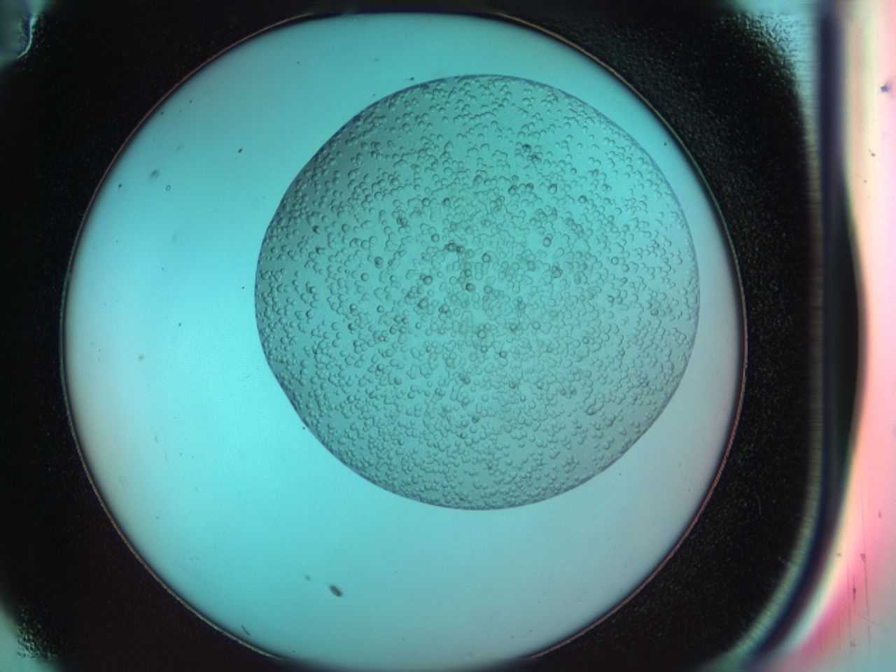 03zo_C11_ImagerDefaults_6.jpg
