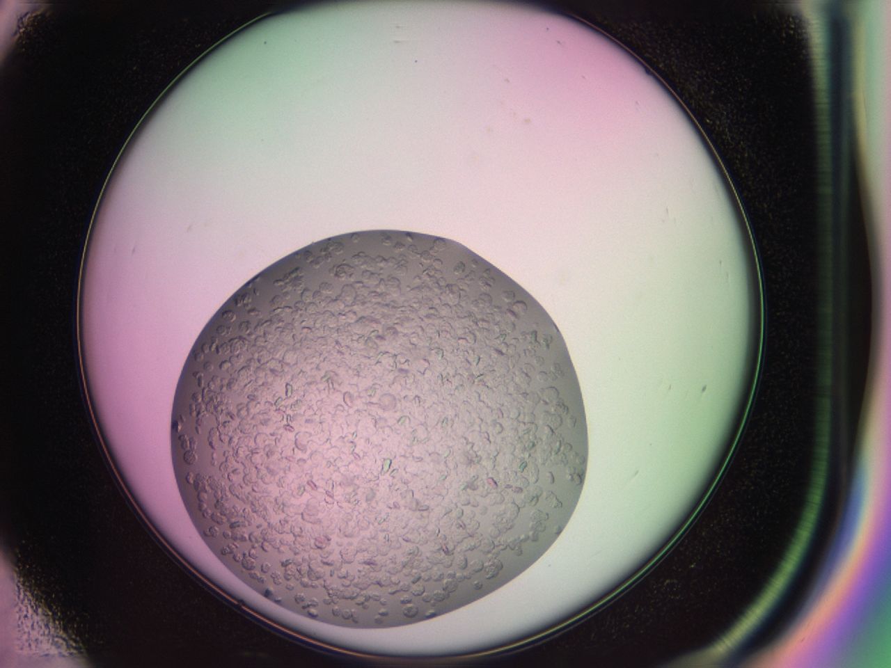 03zq_D3_ImagerDefaults_8.jpg