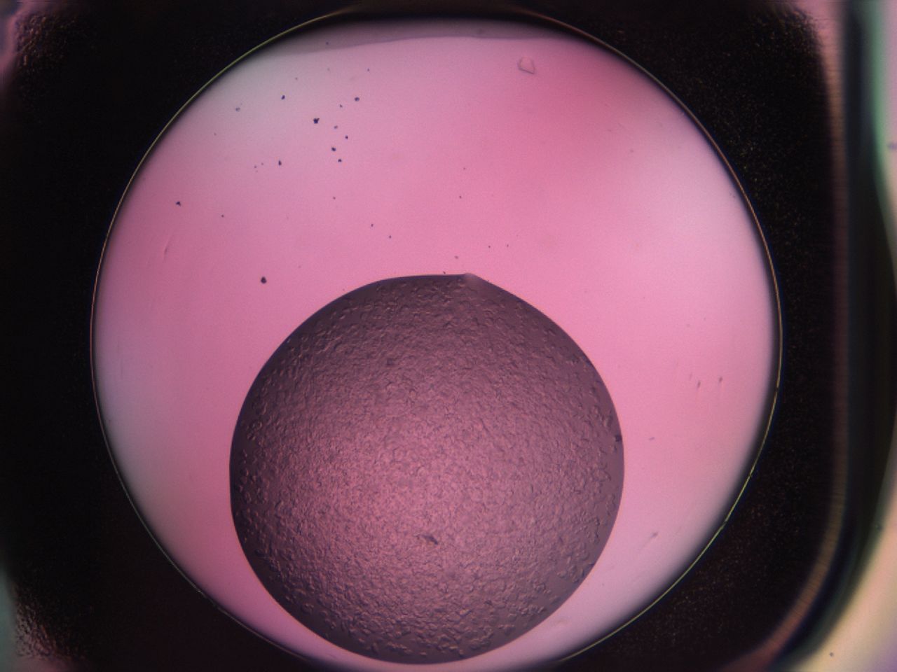 03zr_A4_ImagerDefaults_6.jpg