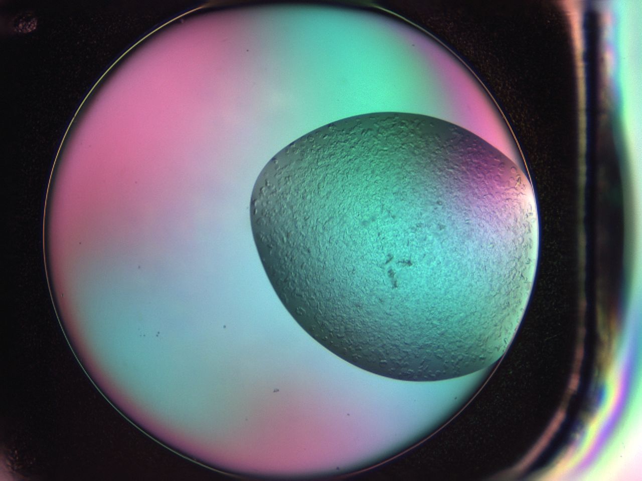03zt_F12_ImagerDefaults_8.jpg
