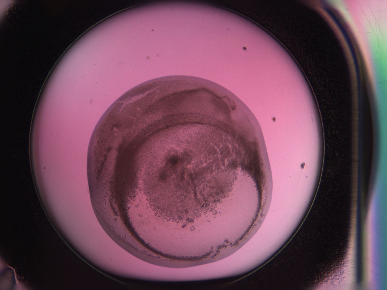 03zt_D11_ImagerDefaults_8.jpg