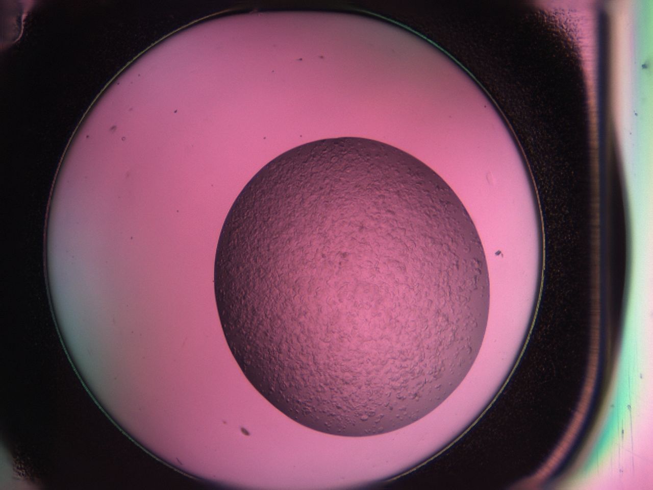 03zu_C11_ImagerDefaults_6.jpg