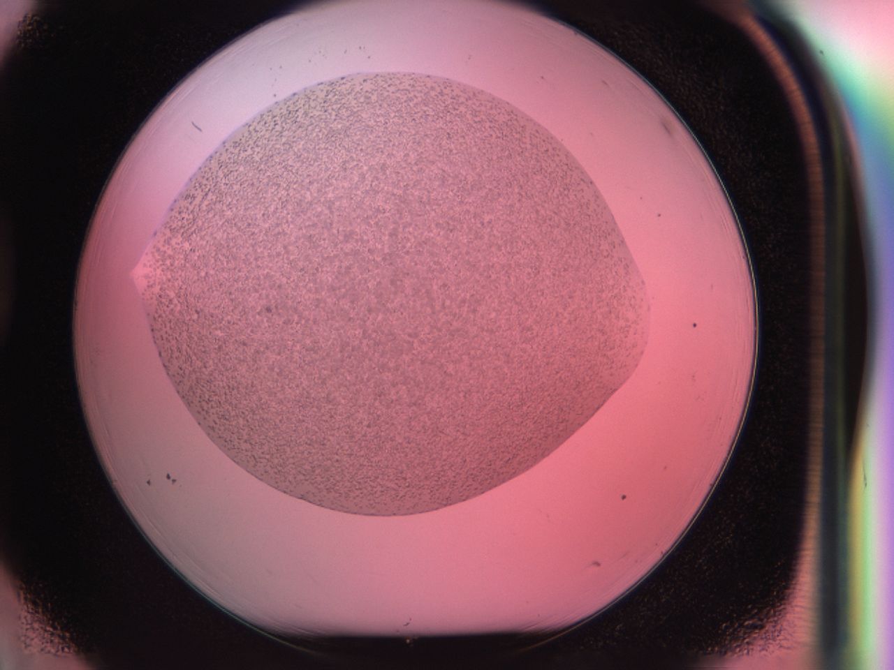 03zv_D3_ImagerDefaults_6.jpg