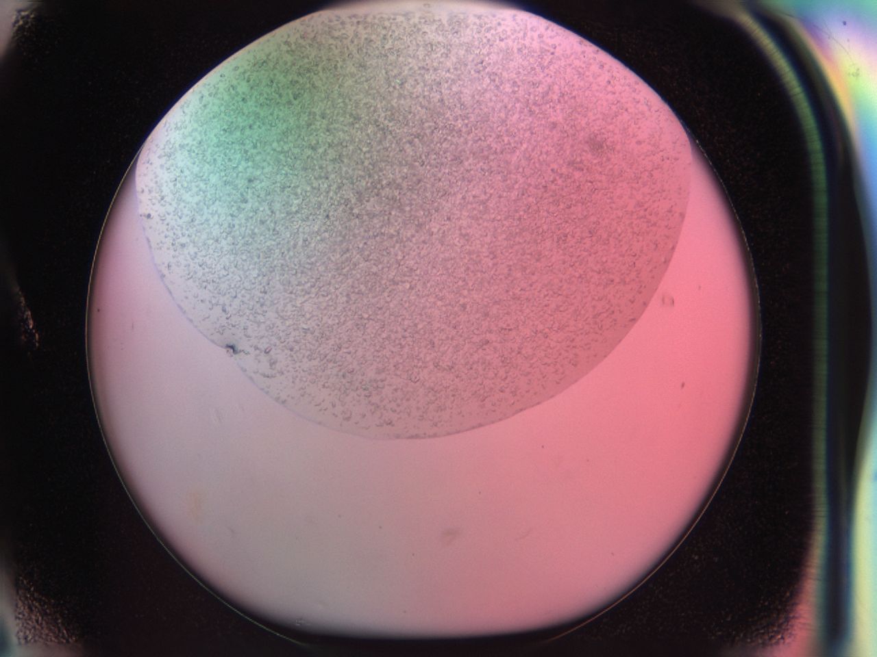 03zw_A6_ImagerDefaults_6.jpg