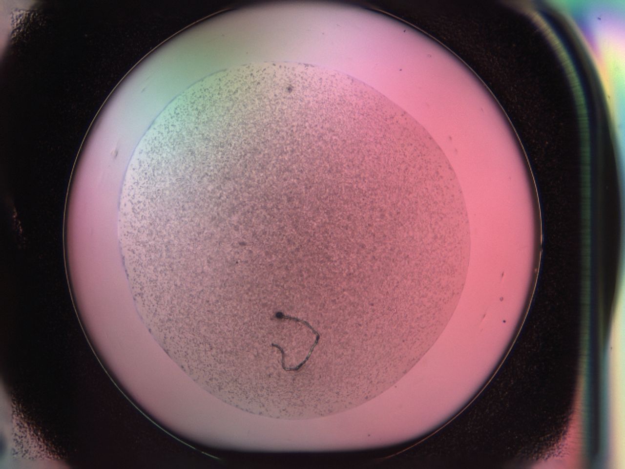 03zw_A5_ImagerDefaults_6.jpg