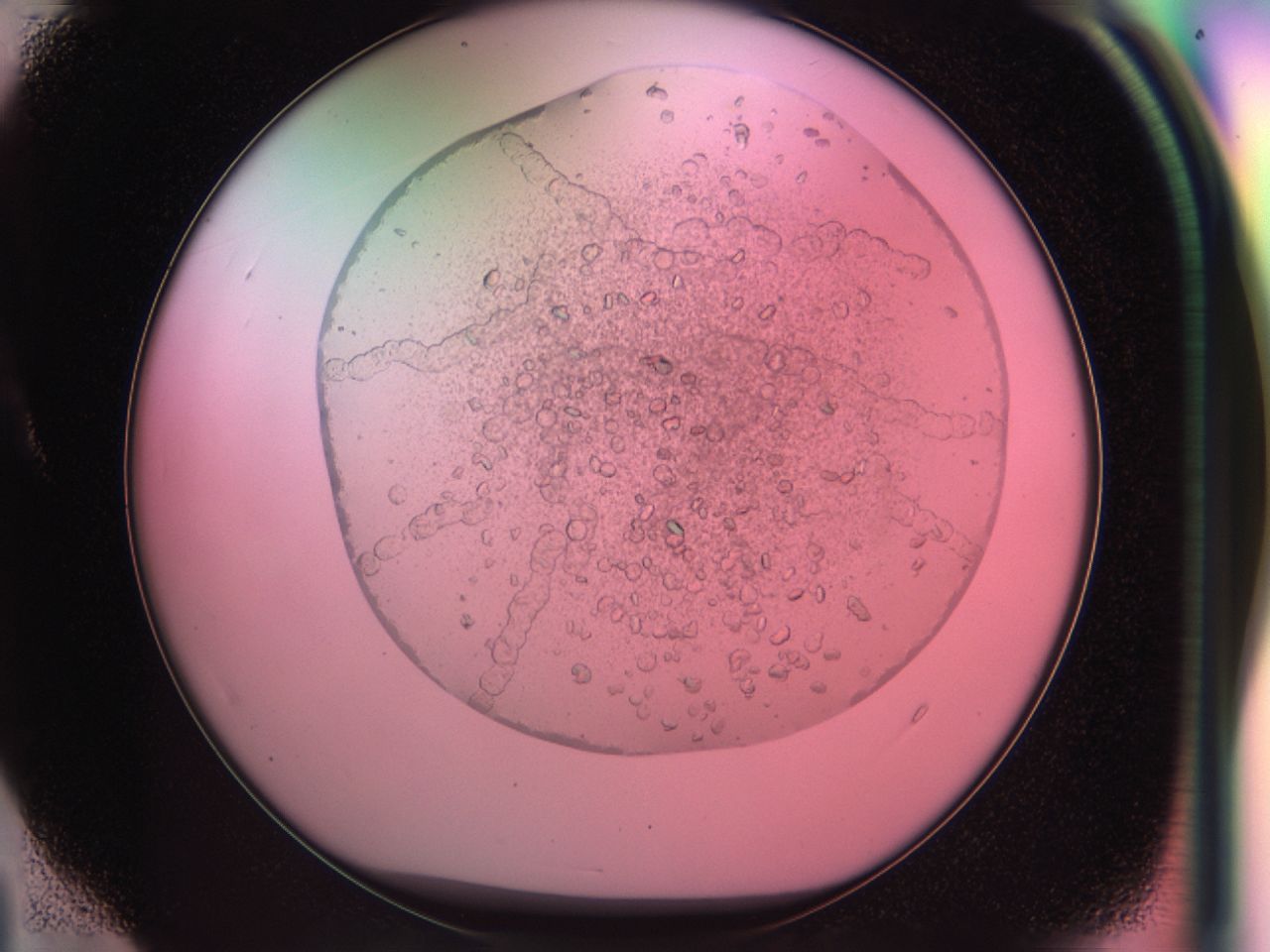 03zw_A4_ImagerDefaults_8.jpg
