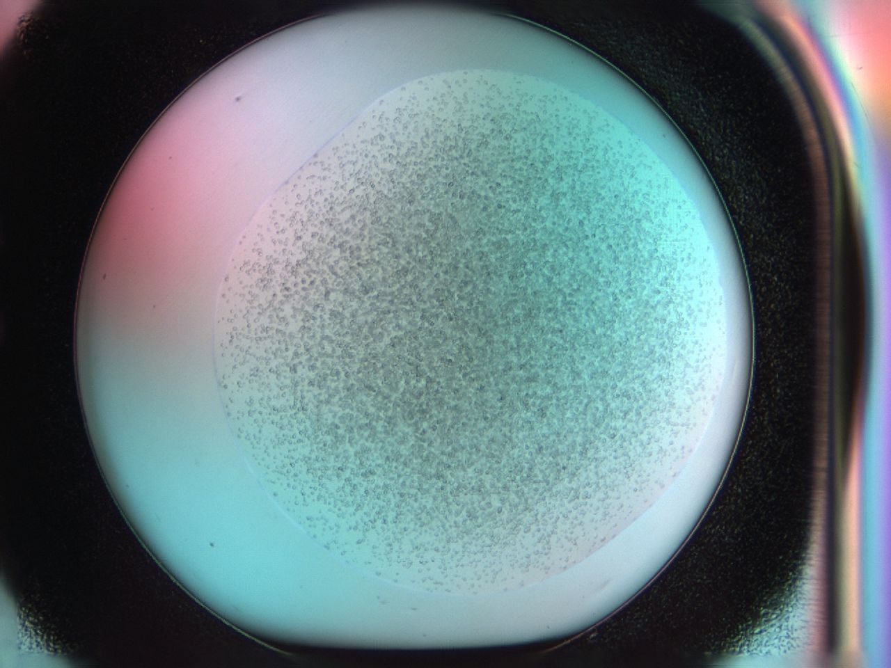 03zz_C9_ImagerDefaults_6.jpg