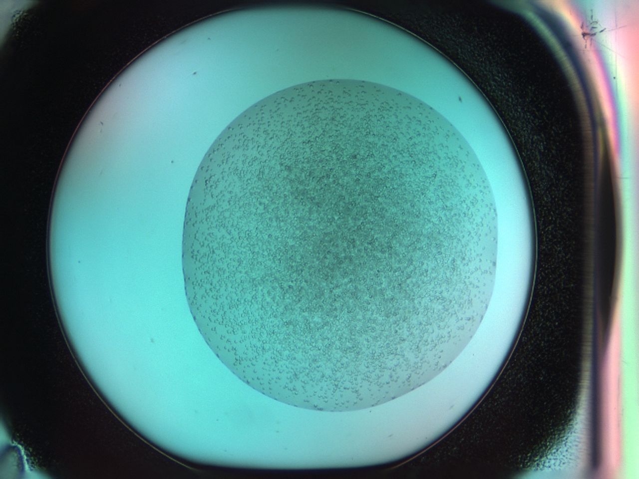 03zz_C11_ImagerDefaults_6.jpg