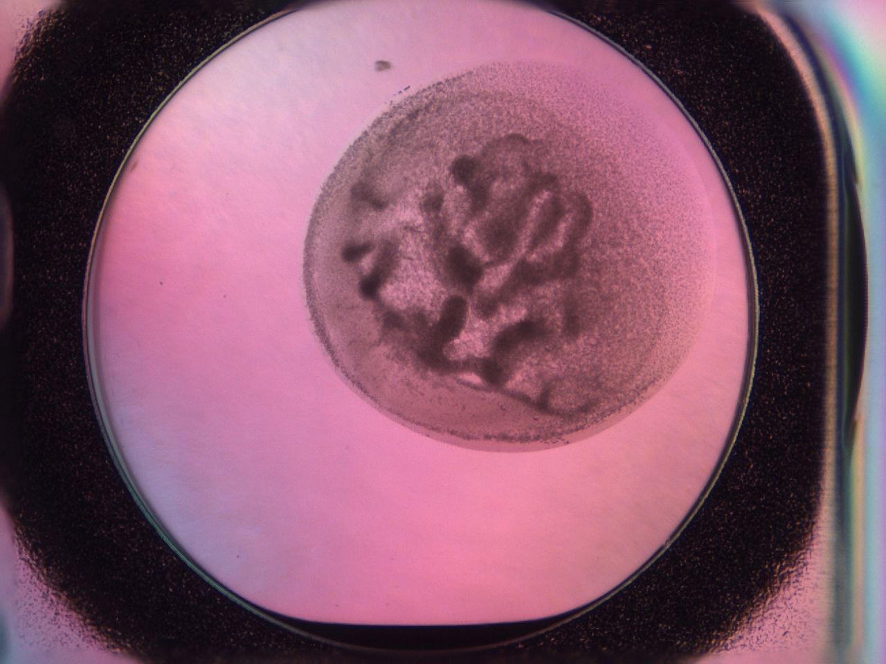 0403_D8_ImagerDefaults_6.jpg