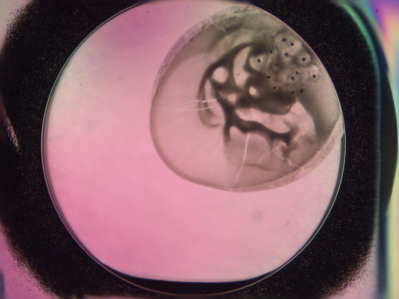 0406_A4_ImagerDefaults_6.jpg