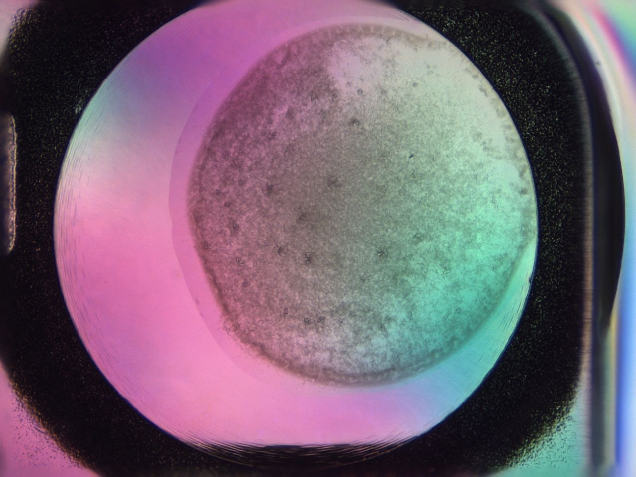 0407_H2_ImagerDefaults_6.jpg