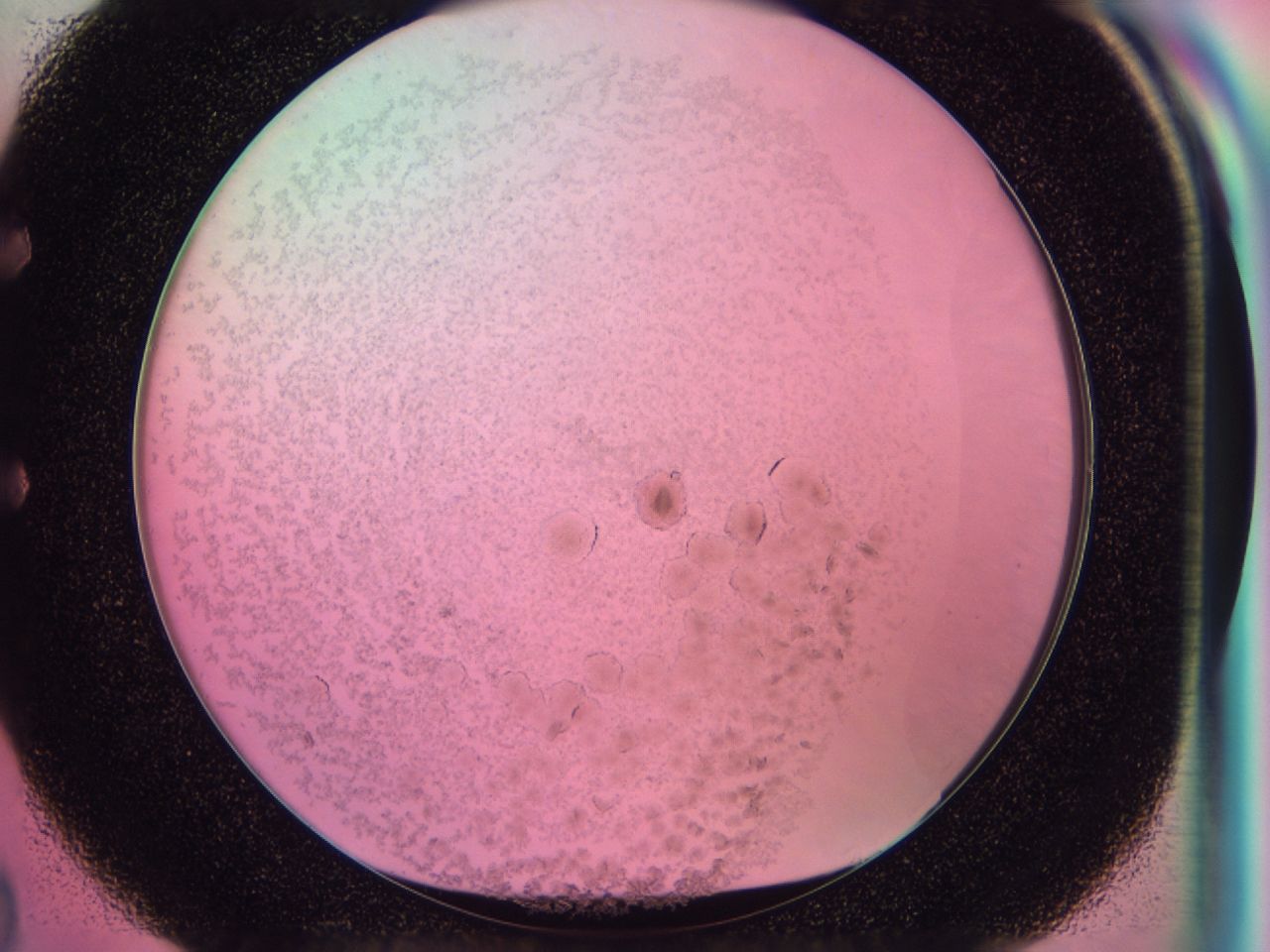 0408_E2_ImagerDefaults_7.jpg