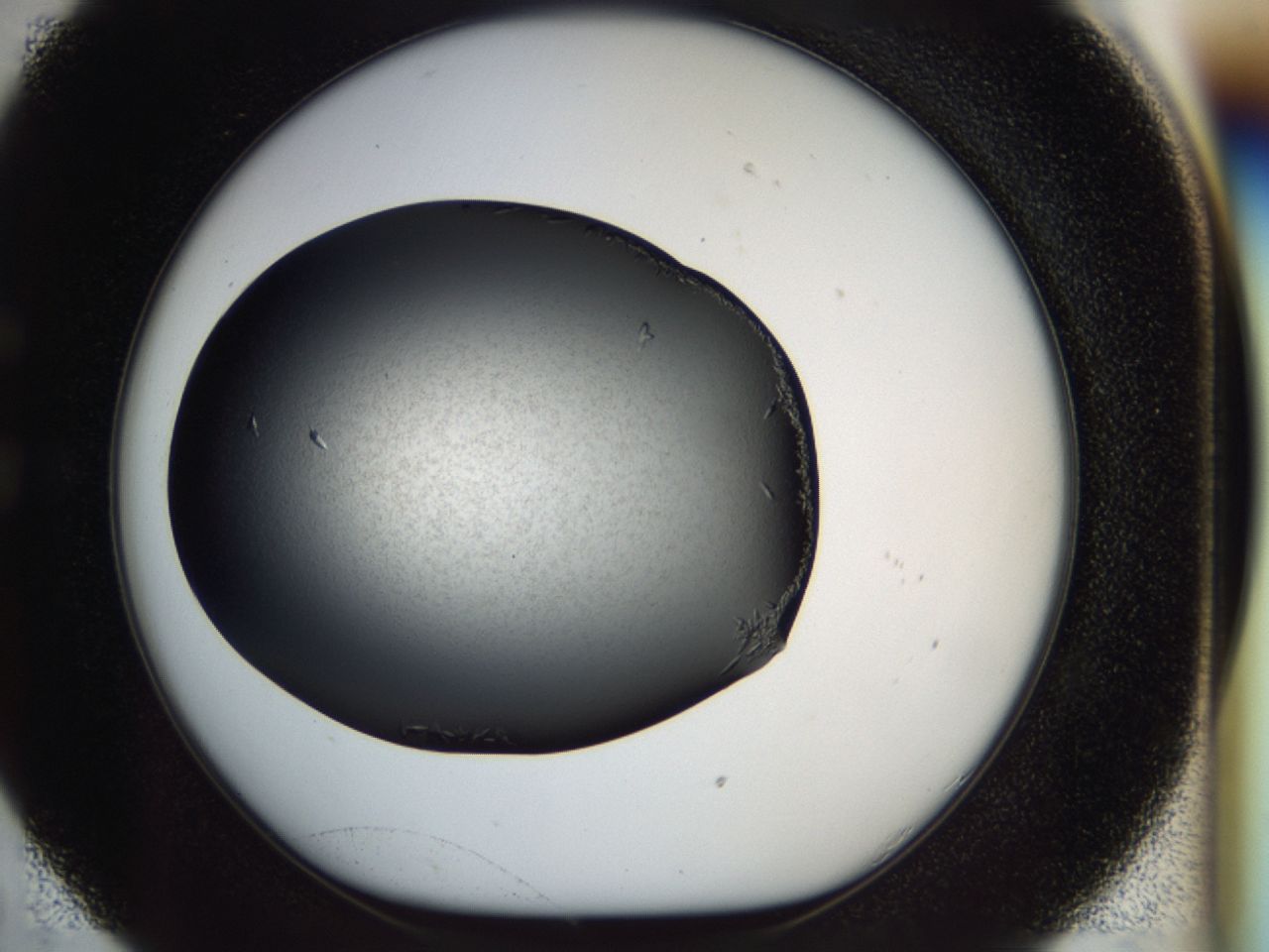 040l_C5_ImagerDefaults_7.jpg