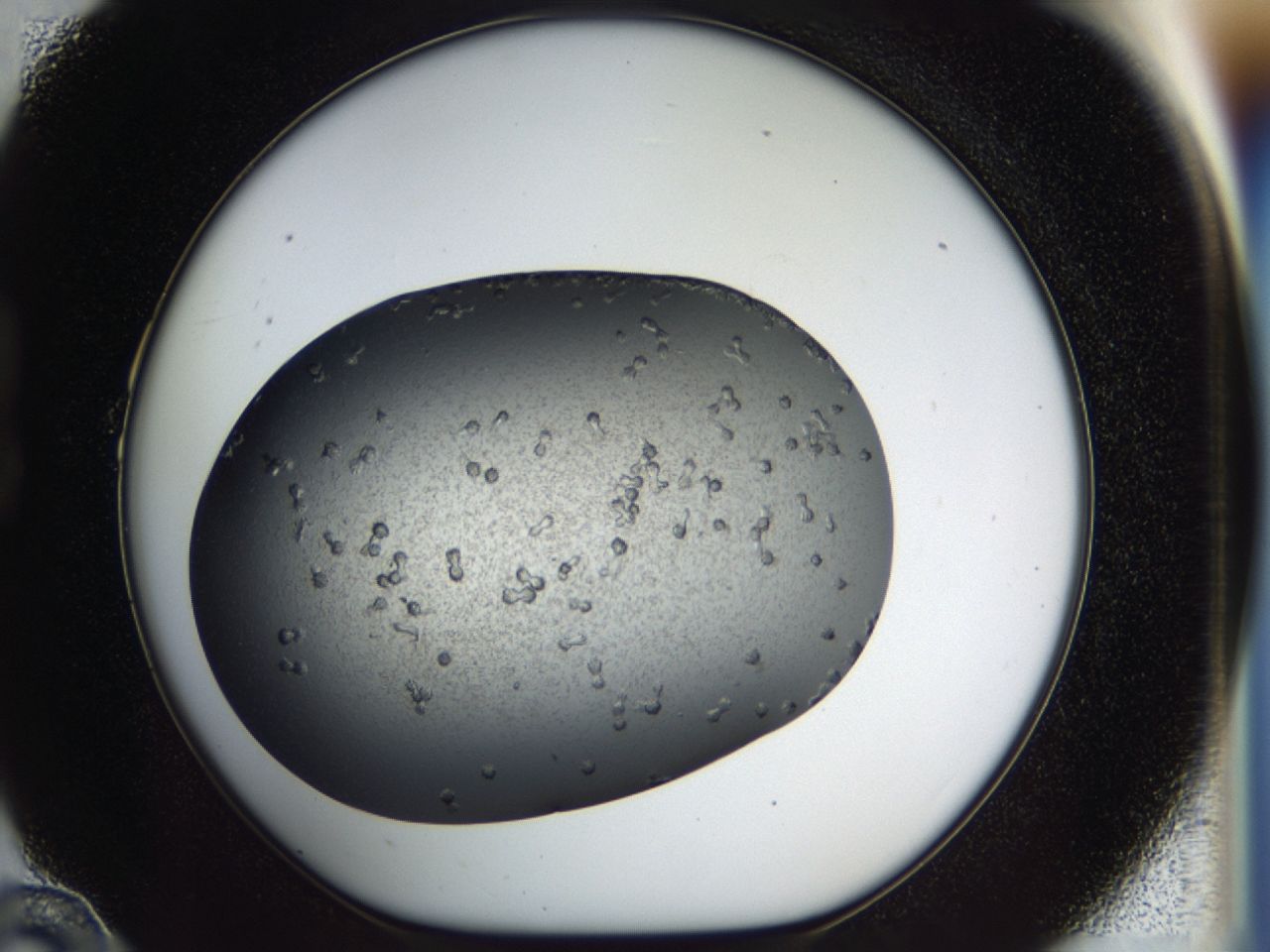 040l_B10_ImagerDefaults_7.jpg