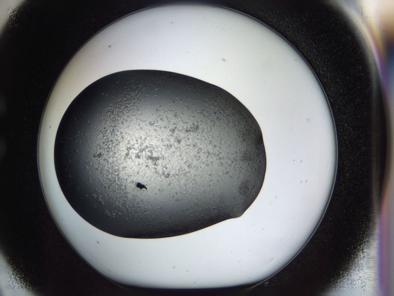 040l_C9_ImagerDefaults_7.jpg