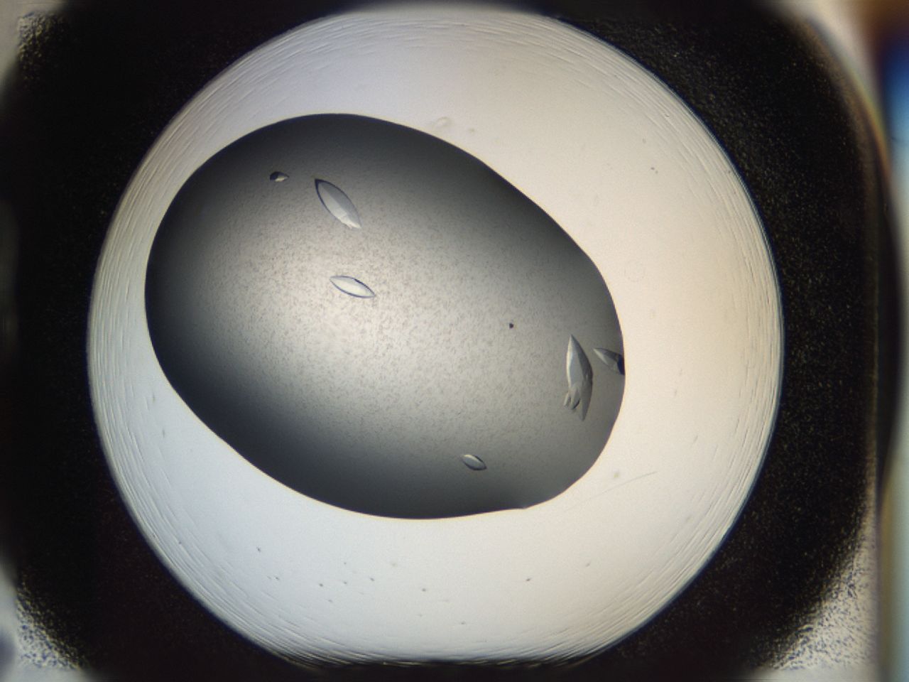 040l_B7_ImagerDefaults_7.jpg