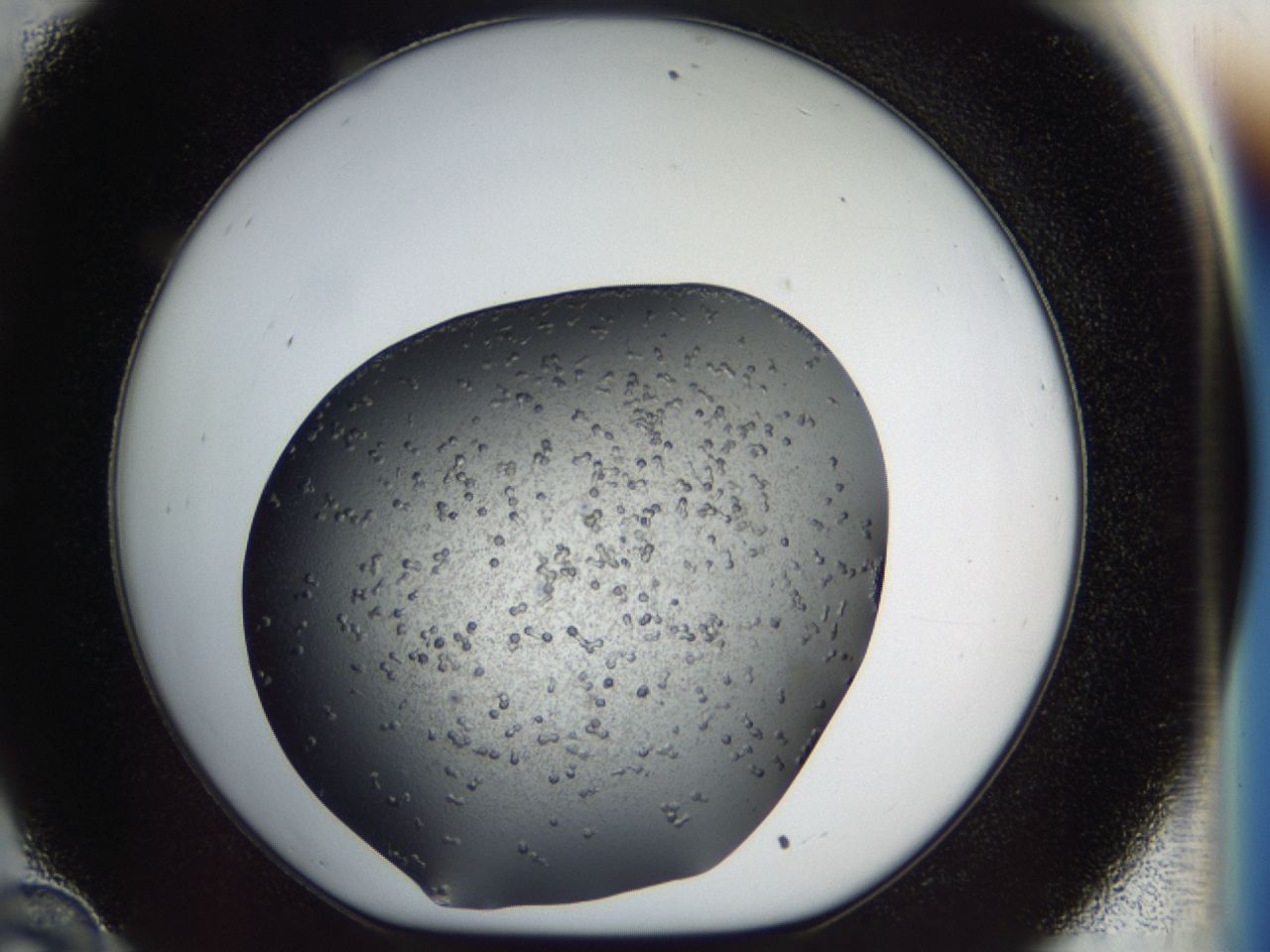 040l_C10_ImagerDefaults_8.jpg