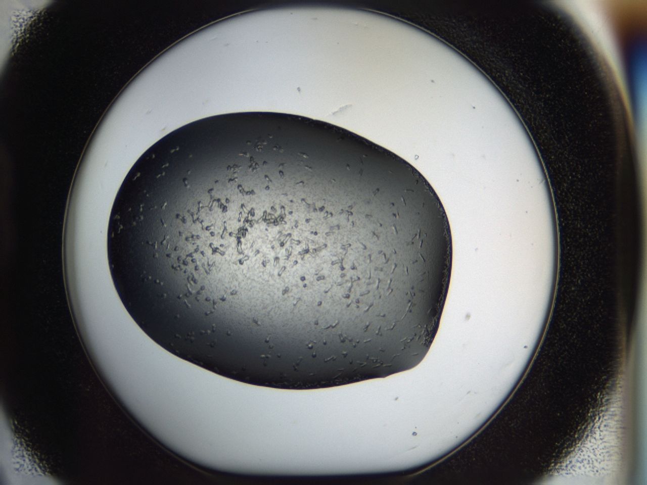 040l_B9_ImagerDefaults_8.jpg