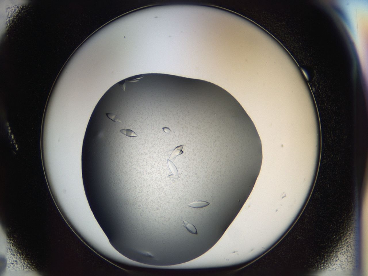 040l_A7_ImagerDefaults_7.jpg