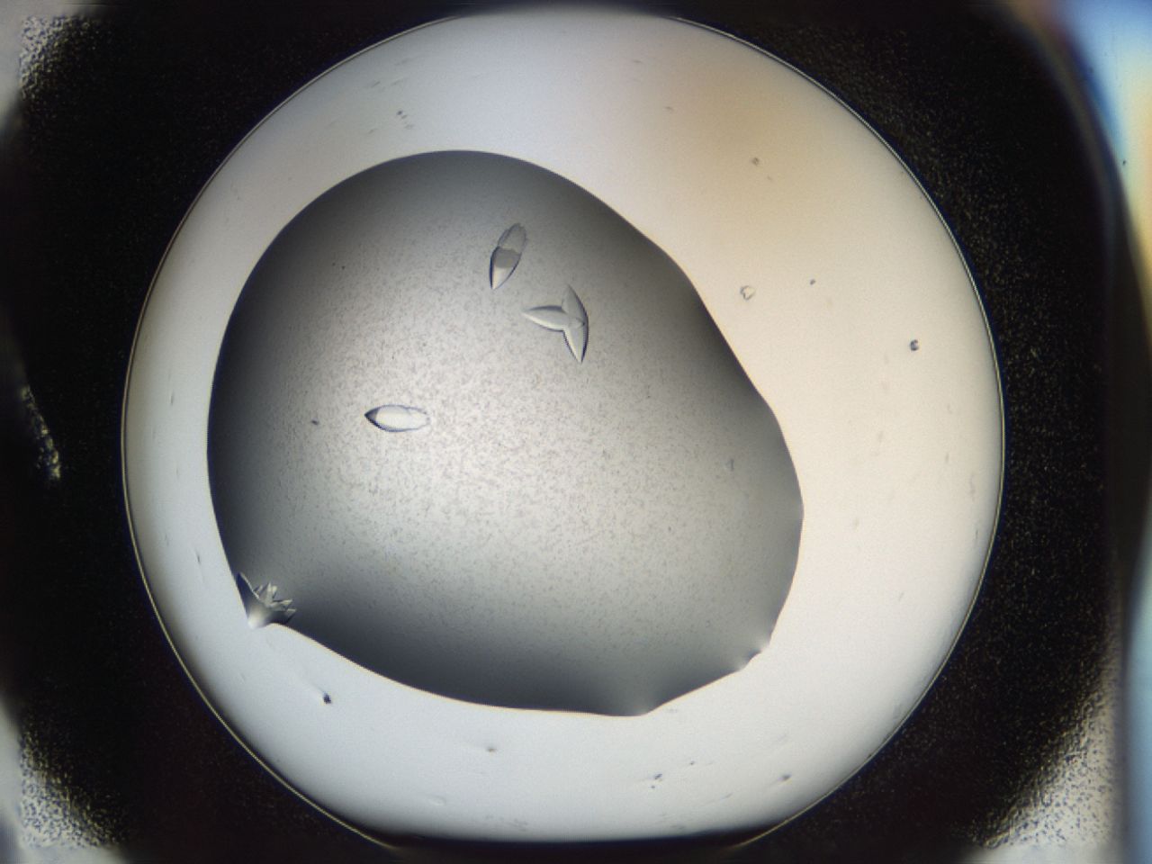 040l_A8_ImagerDefaults_7.jpg