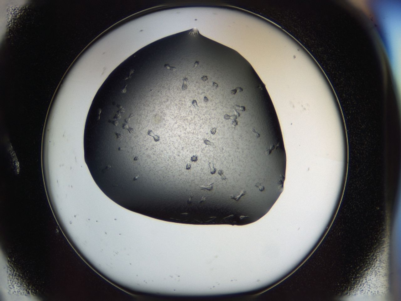 040l_A9_ImagerDefaults_6.jpg