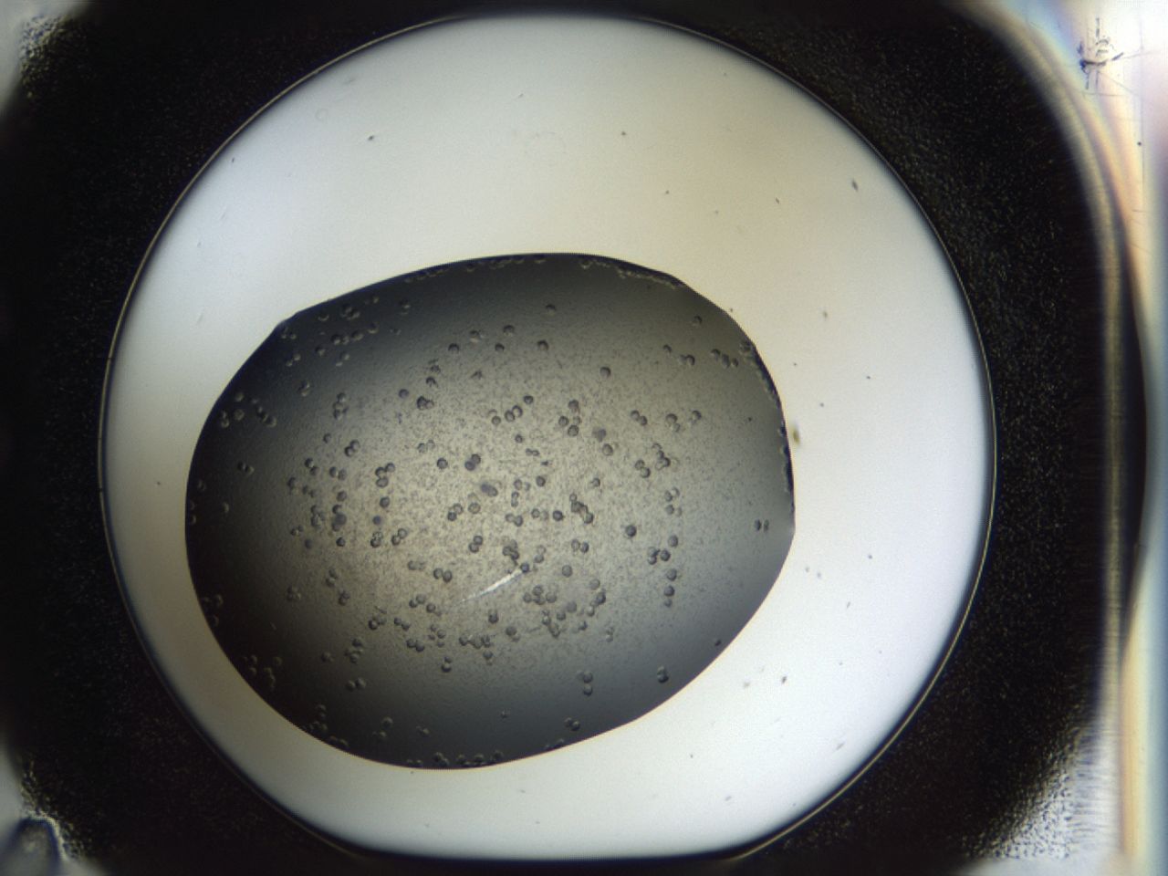 040l_C11_ImagerDefaults_7.jpg
