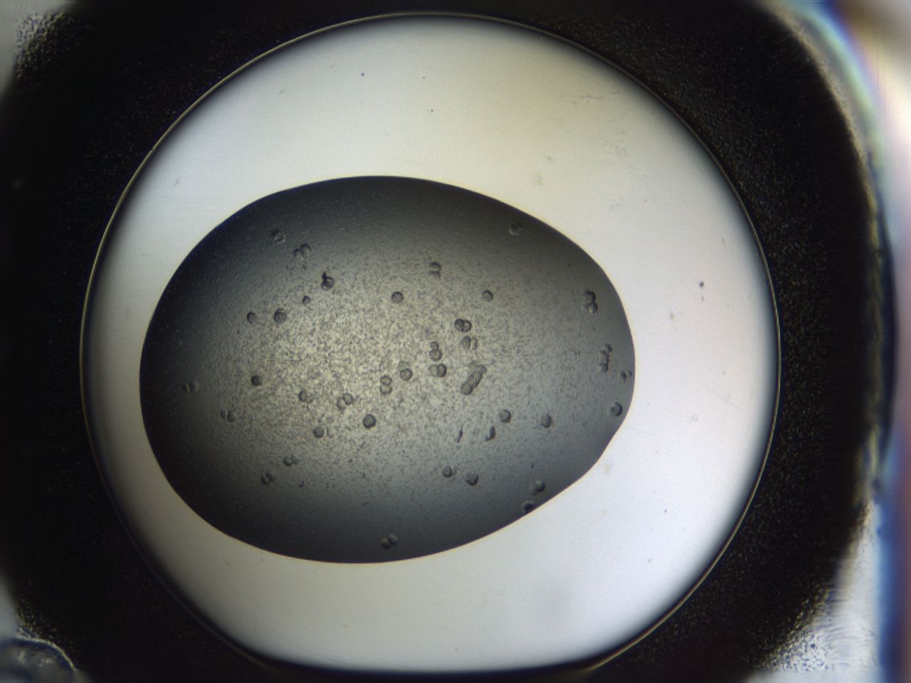 040l_C12_ImagerDefaults_6.jpg