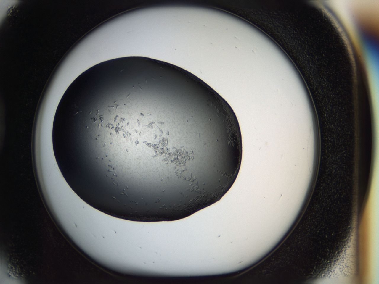 040l_D5_ImagerDefaults_6.jpg