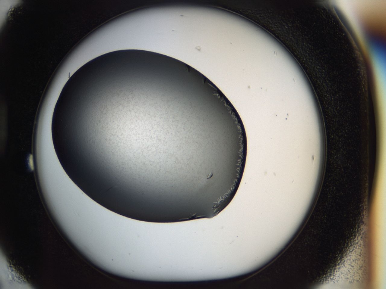 040l_D6_ImagerDefaults_6.jpg