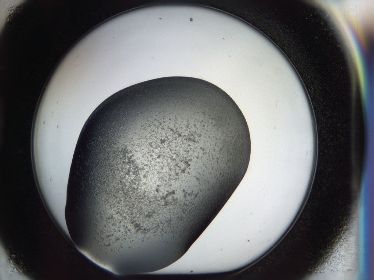 040l_D9_ImagerDefaults_6.jpg