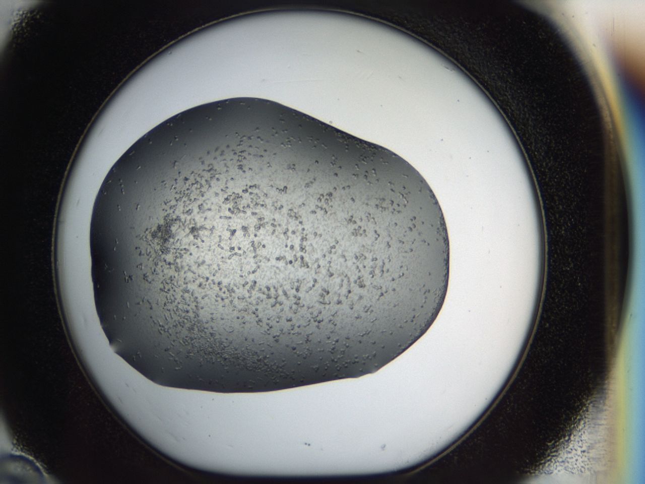 040l_D10_ImagerDefaults_6.jpg