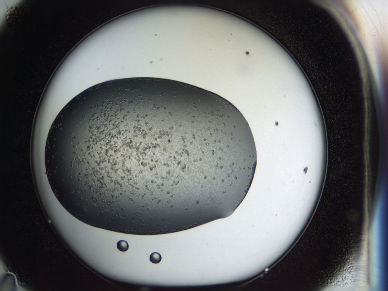 040l_D11_ImagerDefaults_6.jpg