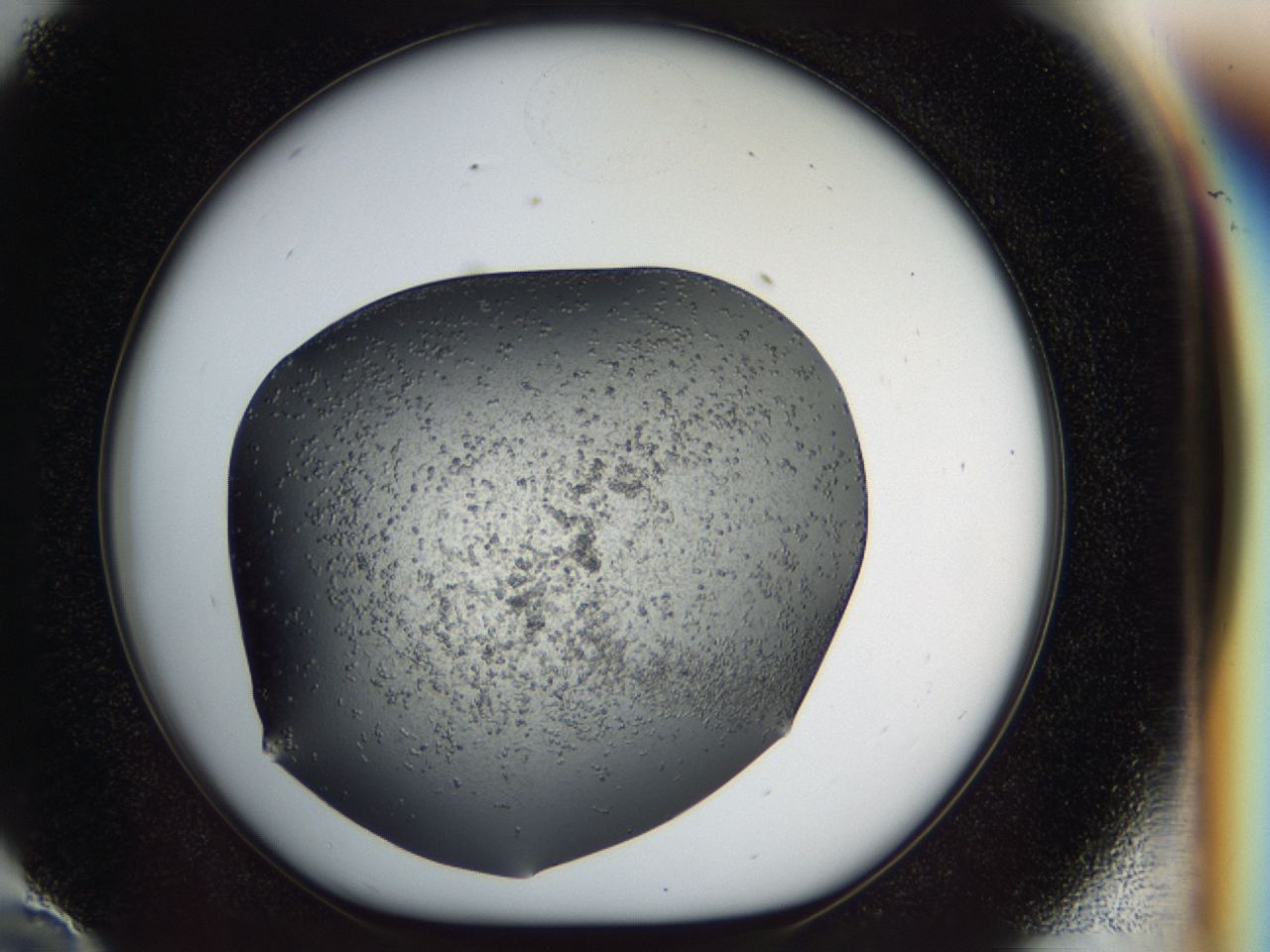 040l_E10_ImagerDefaults_7.jpg