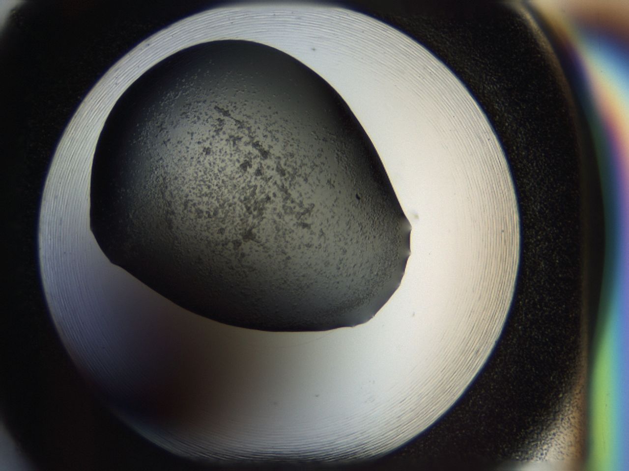 040l_F5_ImagerDefaults_6.jpg