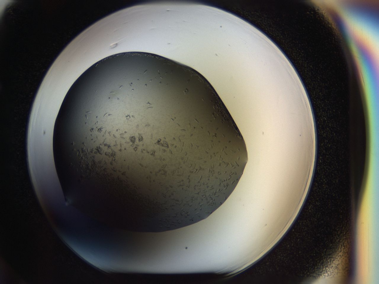 040l_F6_ImagerDefaults_6.jpg