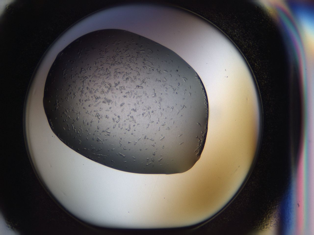 040l_F7_ImagerDefaults_6.jpg