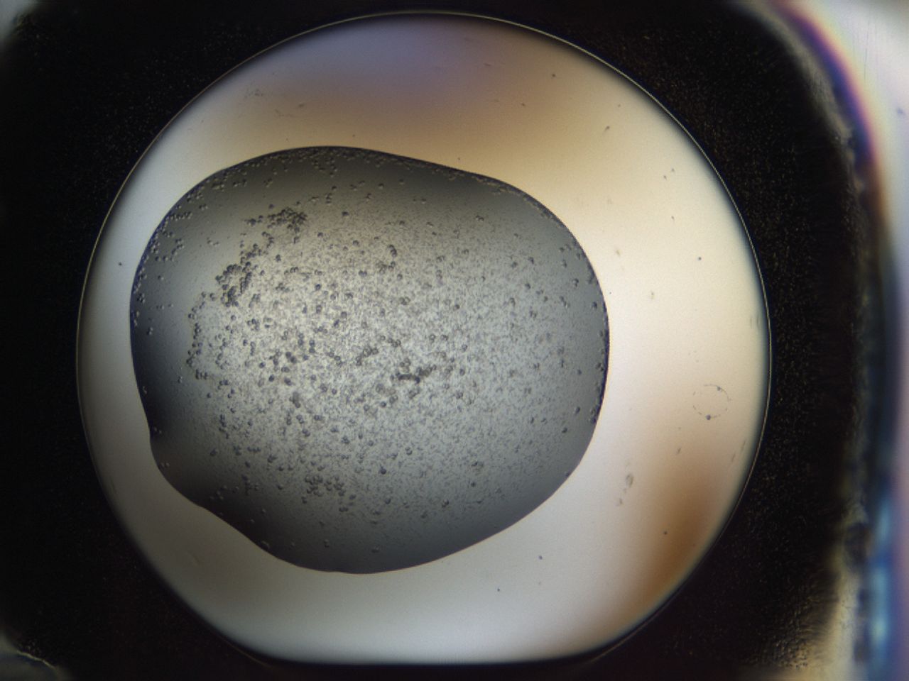 040l_F12_ImagerDefaults_6.jpg