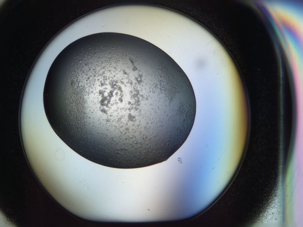 040l_G6_ImagerDefaults_6.jpg