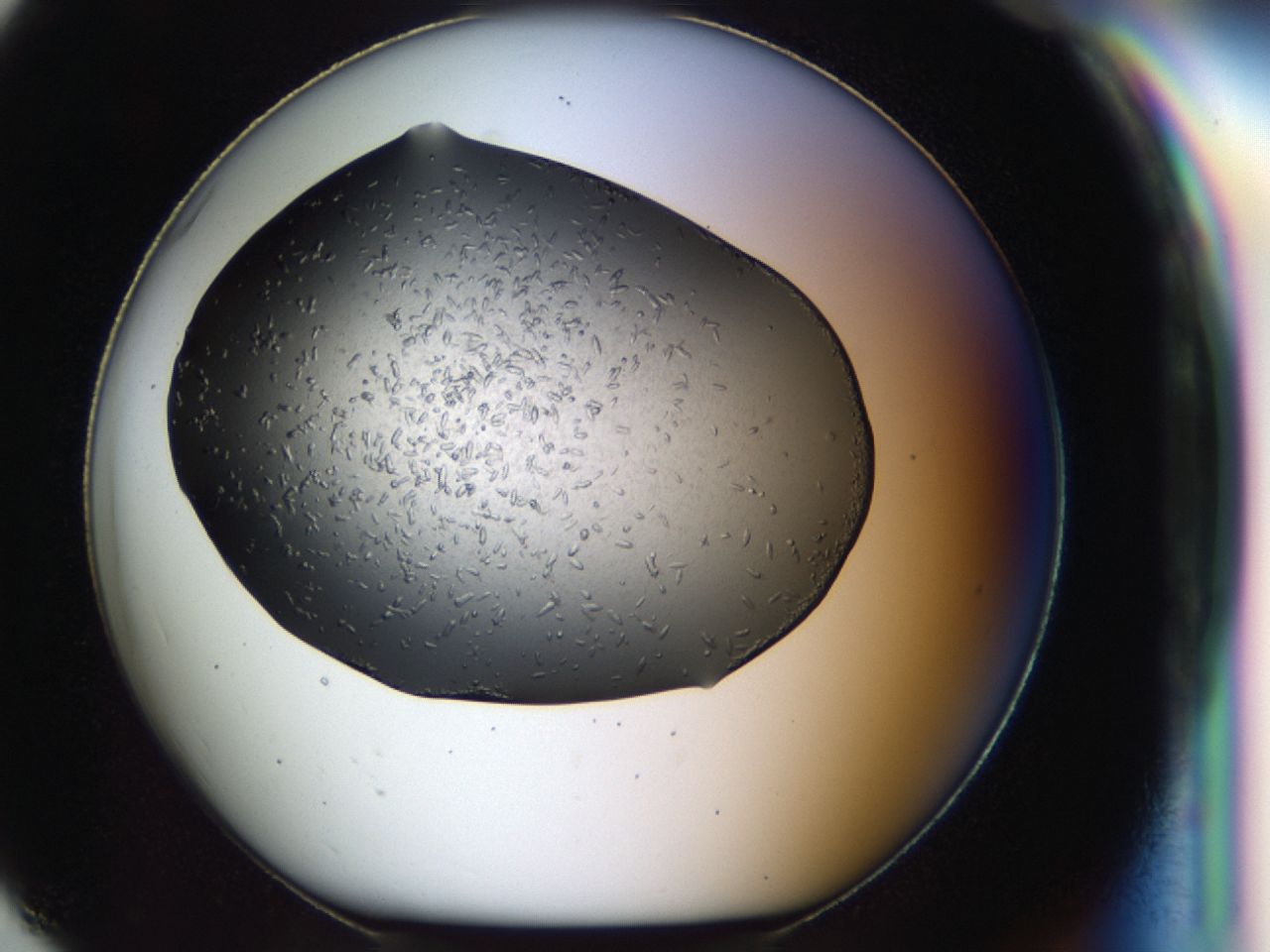 040l_G7_ImagerDefaults_7.jpg