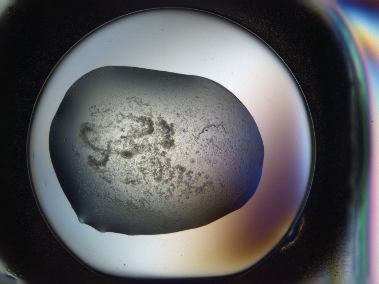 040l_G10_ImagerDefaults_6.jpg