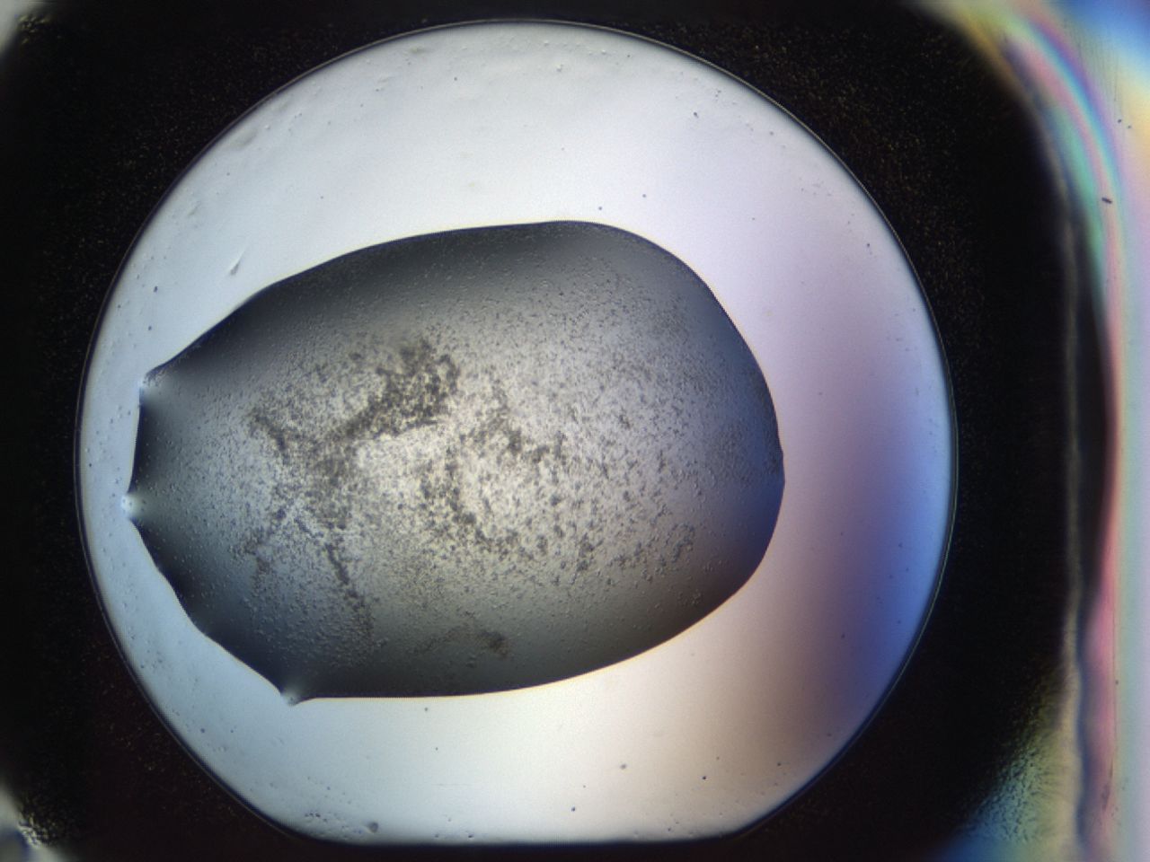 040l_G11_ImagerDefaults_6.jpg