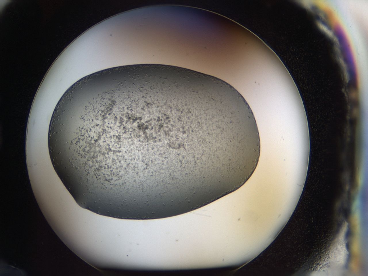 040l_G12_ImagerDefaults_6.jpg